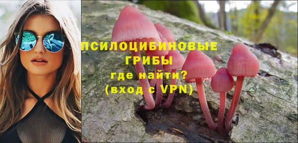 бошки Армянск
