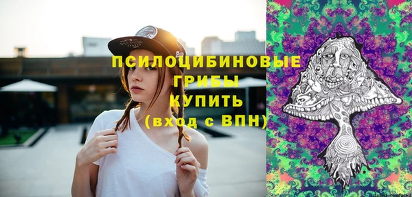 бошки Армянск