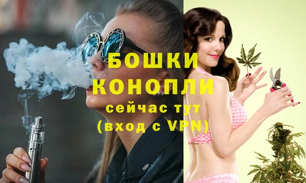 винт Арсеньев