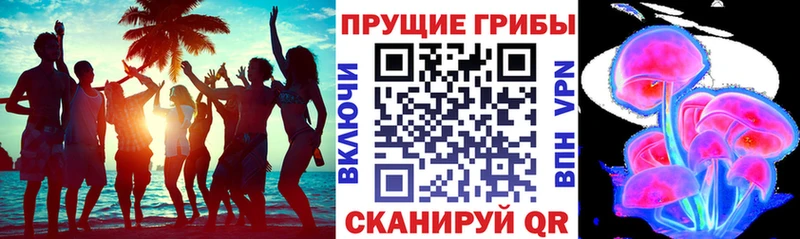 Псилоцибиновые грибы прущие грибы  kraken как зайти  Усинск 